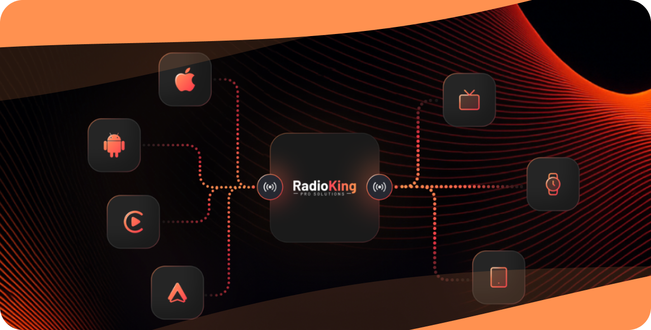 RadioKing Pro Solutions connected usage